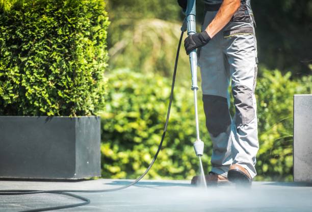 Best Sidewalk and Walkway Cleaning  in Clearlake Riviera, CA