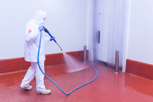 Best Building Exterior Washing  in Clearlake Riviera, CA